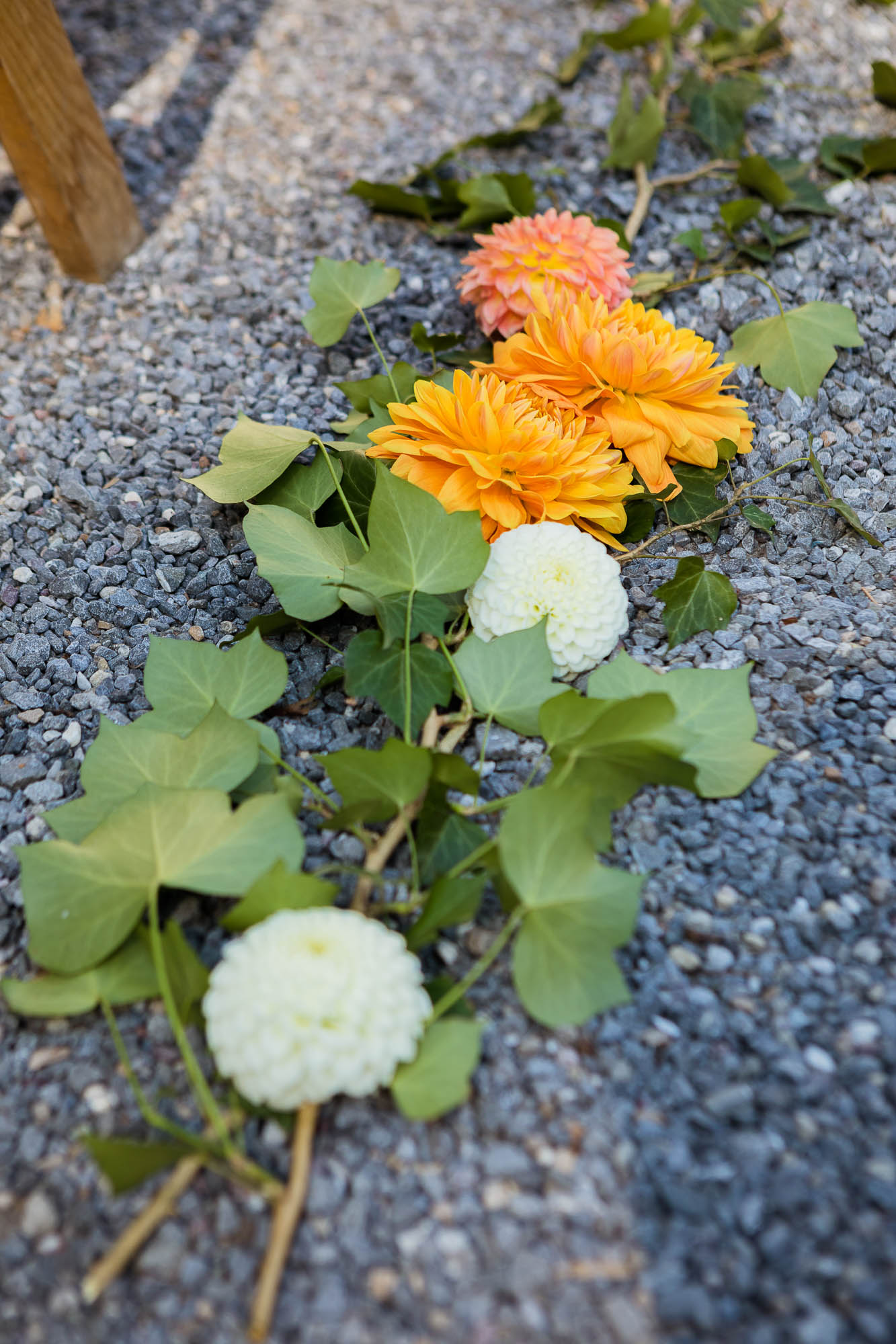 Export x3  O7A7350 Hochzeit 2020 Laura & Sandro1